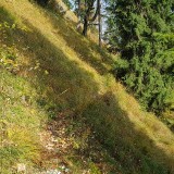 9B88F6EC-B34F-4E5B-BA7E-461C64294736