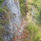 9C17F565-D421-4A71-AA79-468AA36AAF46