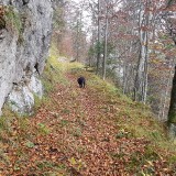 A4830016-82E7-454F-923C-F1F034D3EC0B