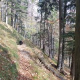 A63F6A27-FAA8-43F6-842B-E3F34022D8A3