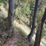 E120033E-1208-45BC-9F03-0E45FB382E19