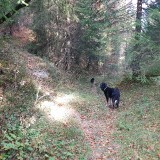 ED387D1E-E4CB-4A26-8D15-B8D071B9C3D5