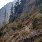 F4D37809-E660-418A-9856-2857D970C838