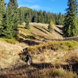 0838DDE8-FE92-4948-8012-930972AA7F06