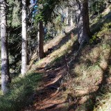 1539031C-E2C7-48E6-9E52-C1A10DC927EB