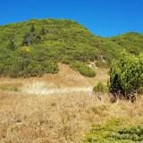 346DEFA2-C50F-41C4-81B4-1885C6FCCF26