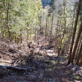 38A0D673-DC3B-4AD5-A9F3-A927C8DF2427