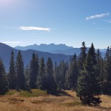 5B682BBA-08EB-4D24-8AD4-7AD4C340D18E