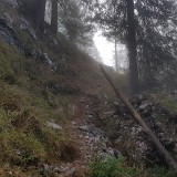 A2E3613D-19EE-4F1E-8868-6574A7303319