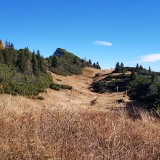 FE39737C-B192-4463-BEED-BA5679266101