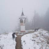 45D56014-DF0A-4B49-992D-E8C233B93693