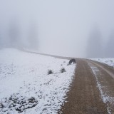 6BFE0217-E9CD-4D11-A43E-01D39183BD7D