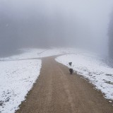 7A8816D3-3A5F-4859-8303-ED1544520B39