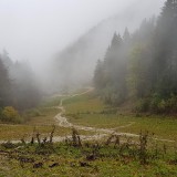 93231E52-70DA-411E-B3CB-24A140158CB3