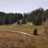 E134BF83-8CEE-496E-9335-3E66166D2B67