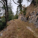 02A17C29-8E10-4A70-971E-42B3F07B7C98