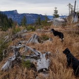 12EC970E-7DE0-4053-A0C2-D6DE85220209