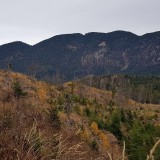 1840C111-CDCC-4E1C-B06E-B671BB72459B