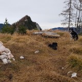 1F91B66A-A17C-416F-919C-251B0E126545