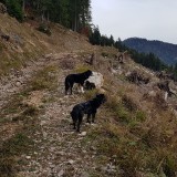 275B8D8F-3D66-47FE-B5D8-4258040B43EA