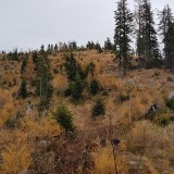 321938CD-C3FE-42F2-93C4-CC7288816D0F