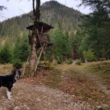 38655263-2B8B-4B8C-81F1-79177F2AEC75