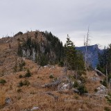 390CC1D9-1266-436E-A6D2-D2D02B77AAB9