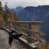 3D775221-CDFC-4268-A74F-418E33BBC996