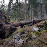 5182E2AE-2077-4795-A39C-C46846DAA2FD