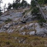 52D901BD-C1E3-4E3E-B5B3-182D540C65A1