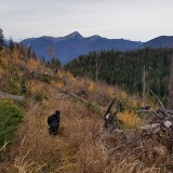 80B711EA-7E92-4164-8FB4-5BE8546F6D38