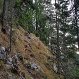 9E292307-4368-496D-A0C2-20C4F1CA6888