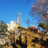 AC5AA97F-C05E-4577-B530-400DDC4B8CF4