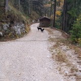 AEFBE2C5-11A2-4F89-A432-309A9D5C822B