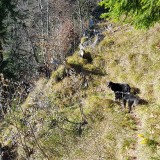 AFCD2B01-BCF0-431D-86D8-9B14E065AB34