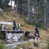 B834FCF8-82B0-4862-8E8A-F46BBBC7EDA2