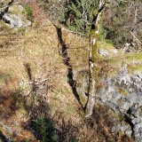 BC39AE58-EA2C-4D25-A123-470274A8B8FA