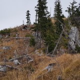 C4FE81F9-F43F-4150-9ECF-BBF666BA24B3