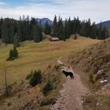 C6DF37E1-4731-44F8-A90F-4D1B49A28F36