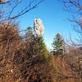 CAFEE9D6-A5B8-42AF-B90D-C8528F654592