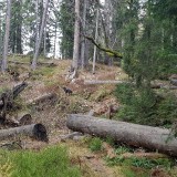 ECEBD6B8-7618-424F-8CCF-80DA3CABC747