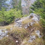 FC23D02D-F9B6-4548-AE6A-FA325E4EEE41