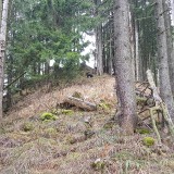 12C22C0C-CCCD-45D2-9964-8E948476644C