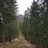 1B347BB5-8FD7-4350-AEEF-AC50513F1489