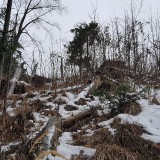 68E60975-7C98-4824-A31A-DC377107C1D2