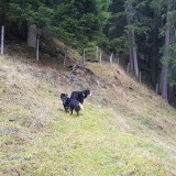 71EAA7FF-61DD-445A-A151-715BF0F6FB1C