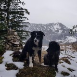 7722363B-76F5-4F4E-A4BA-7F40B6AC3864