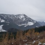 96F86103-B592-4F46-BB63-A1E22F5F41FF