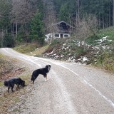 9AD4DC4F-A815-48ED-9823-E1DF3F676F10