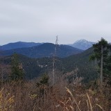 B65F1D19-5696-4B82-8724-BE23E4E1173A